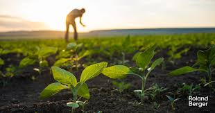 Test Image 2026-03-20 19:34:50